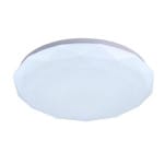 24w Ceiling Light - CE101
