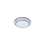 CE109 18W CEILING LIGHT