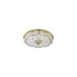 CE005 CEILING LIGHT