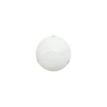 CE202/R CEILING LT