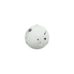 CE204/R CEILING LT