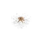 5635/400 GD CEILING LIGHT