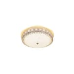 CE006 CEILING LIGHT