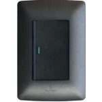 1 Lever Switch Charcoal 2×4 (Hello Today)