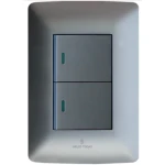 2 Lever Switch Silver 2×4 (Hello Today)