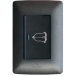 Doorbell Switch Charcoal 2×4 (Hello Today)