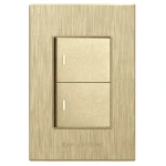 2 Lever Switch Gold Design 2×4 – Hello Today