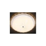 CE035 CEILING LIGHT