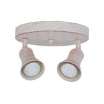 DL6402/2 FW Ceiling LT