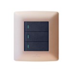 3 Lever Switch Rose Gold/Black 2×4 (Hello Today)