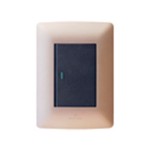 1 Lever Switch Rose Gold/Black 2×4 (Hello Today)
