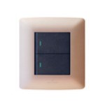 2 Lever Switch Rose Gold/Black 2×4 (Hello Today)